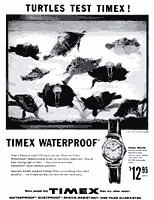 The View From Here: It Takes A Licking And Keeps On Ticking!